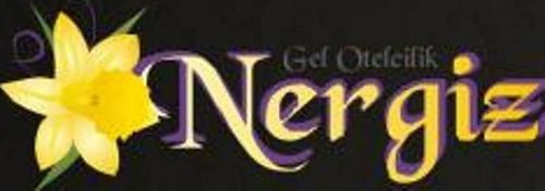 Otel Nergiz 4*